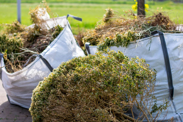 Best Hoarding Cleanup  in Midland, TX